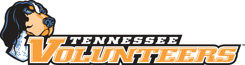 Tennessee Volunteers 2005-Pres Wordmark Logo v4 iron on transfers for fabric